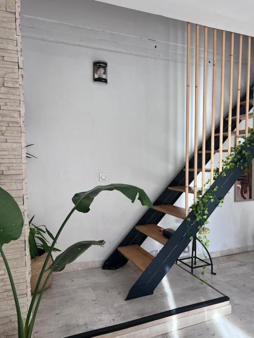 Maison Type 4 Et Jardin Spacieux 씨니으 외부 사진